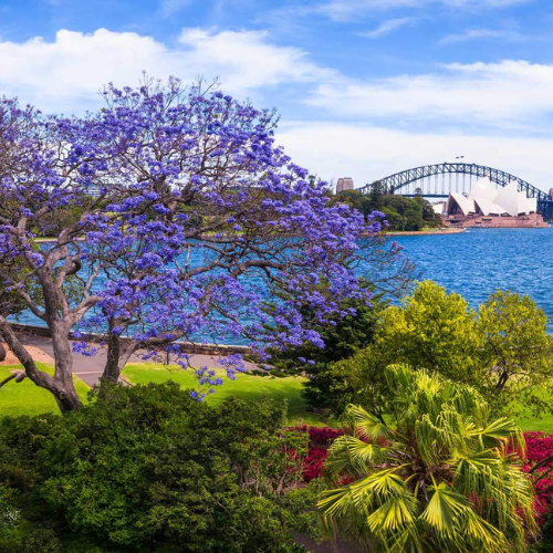 Royal Botanic Garden – Sydney