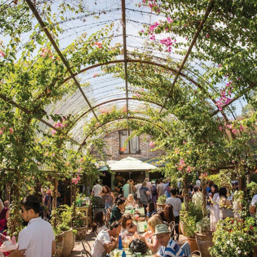 The Grounds of Alexandria – Sydney