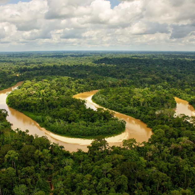 Amazon Basin Peru