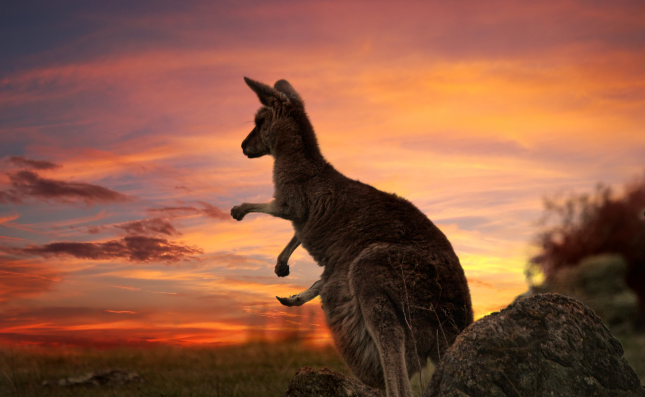 Australia Australasia