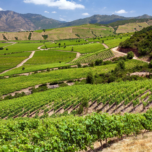 Colchagua Valley Chile