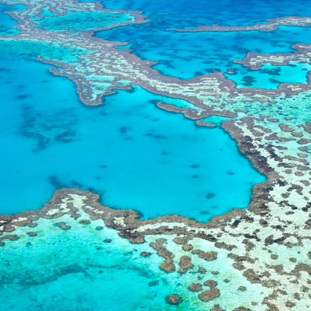 Great Barrier Reef Australia