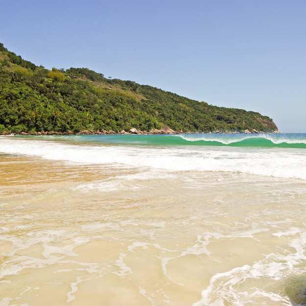 Ilha Grande South America
