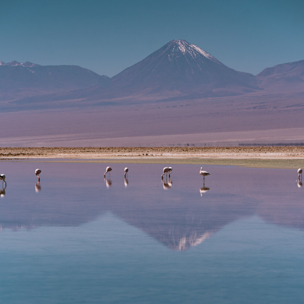 Laguna Chaxa Chile