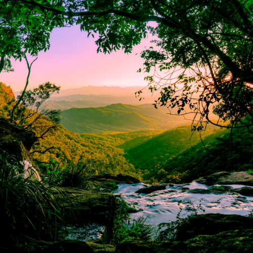 Lamington National Park Australia Road Trip