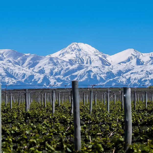 Luján de Cuyo Argentina