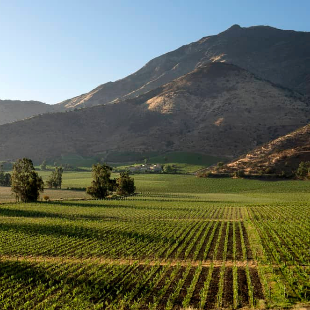 Maipo Valley Chile