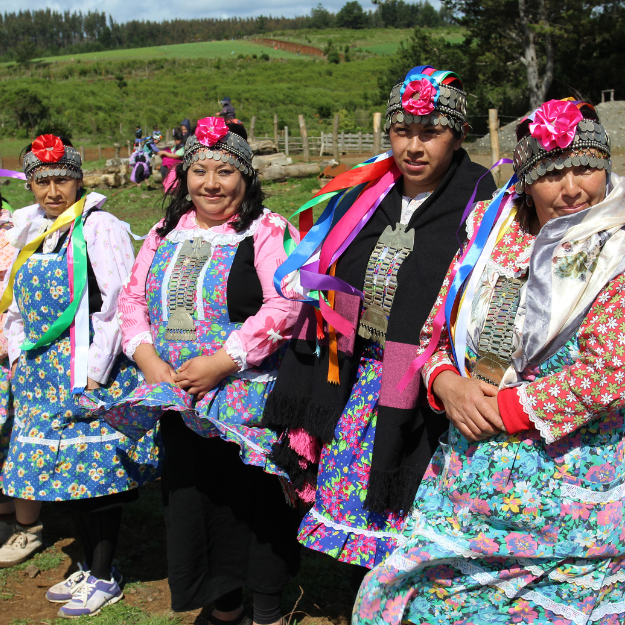 Mapuche South America
