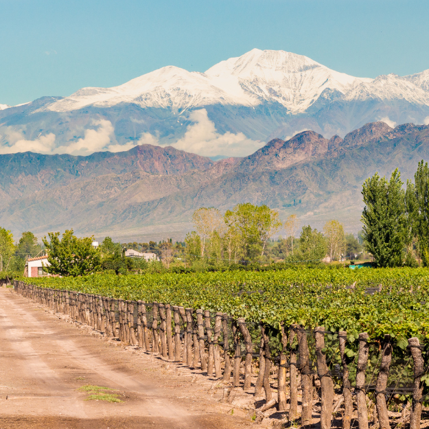 Mendoza Argentina