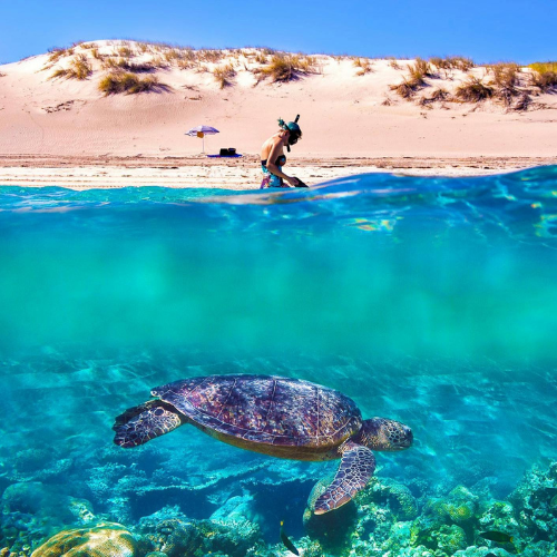 Ningaloo Reef Australia Road Trip