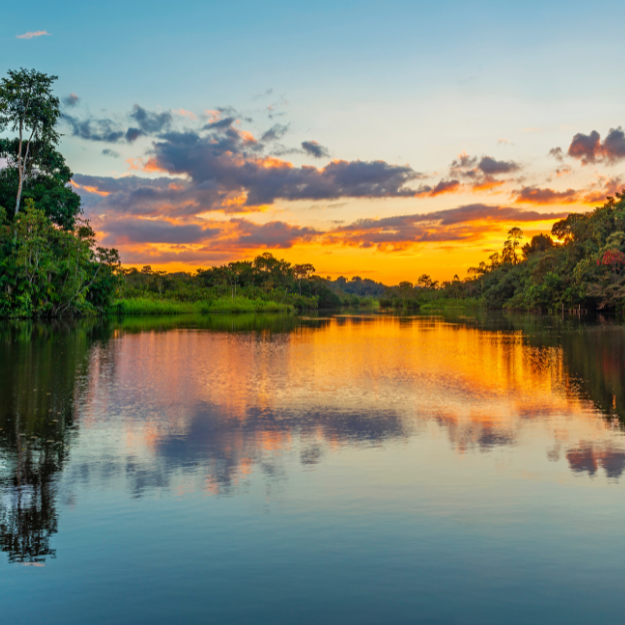 The Amazon Rainforest South America