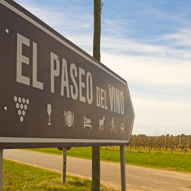 The wine walk, Uruguay