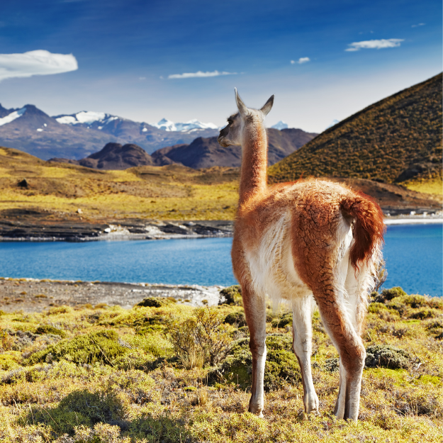 Torres del Paine National Park Chile