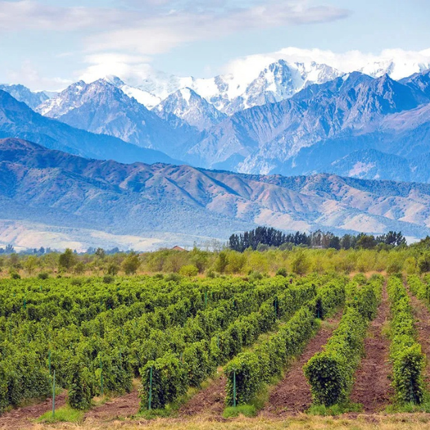 Uco Valley Argentina