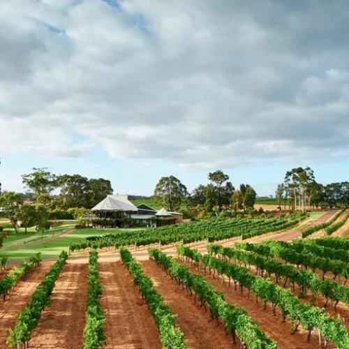 Vasse Felix Australia Road Trip